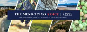 Mendocino Voice logo copy Mendocino Voice logo